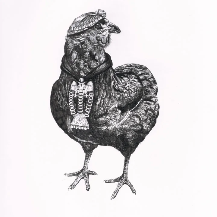 Gallina mapuche