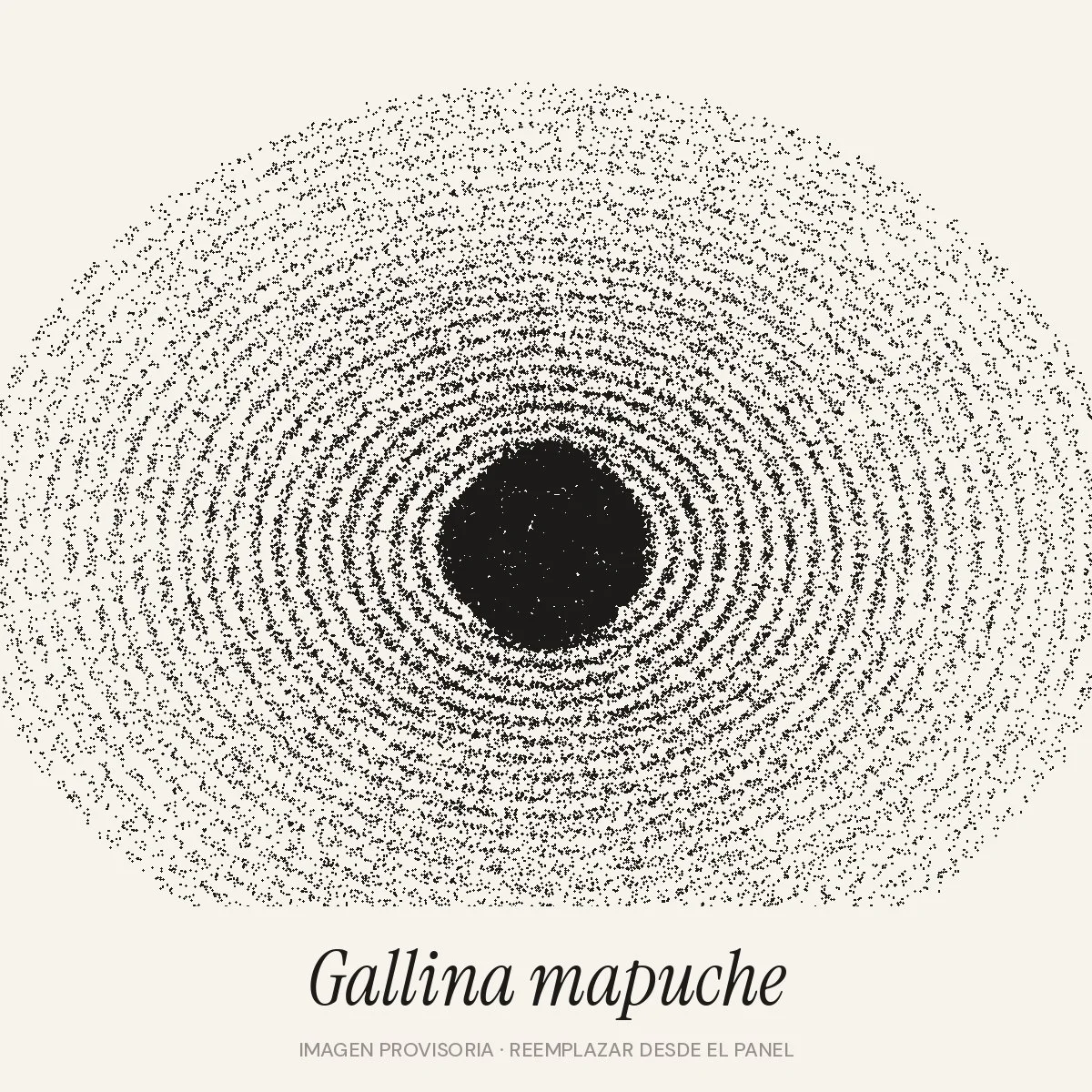 Gallina mapuche