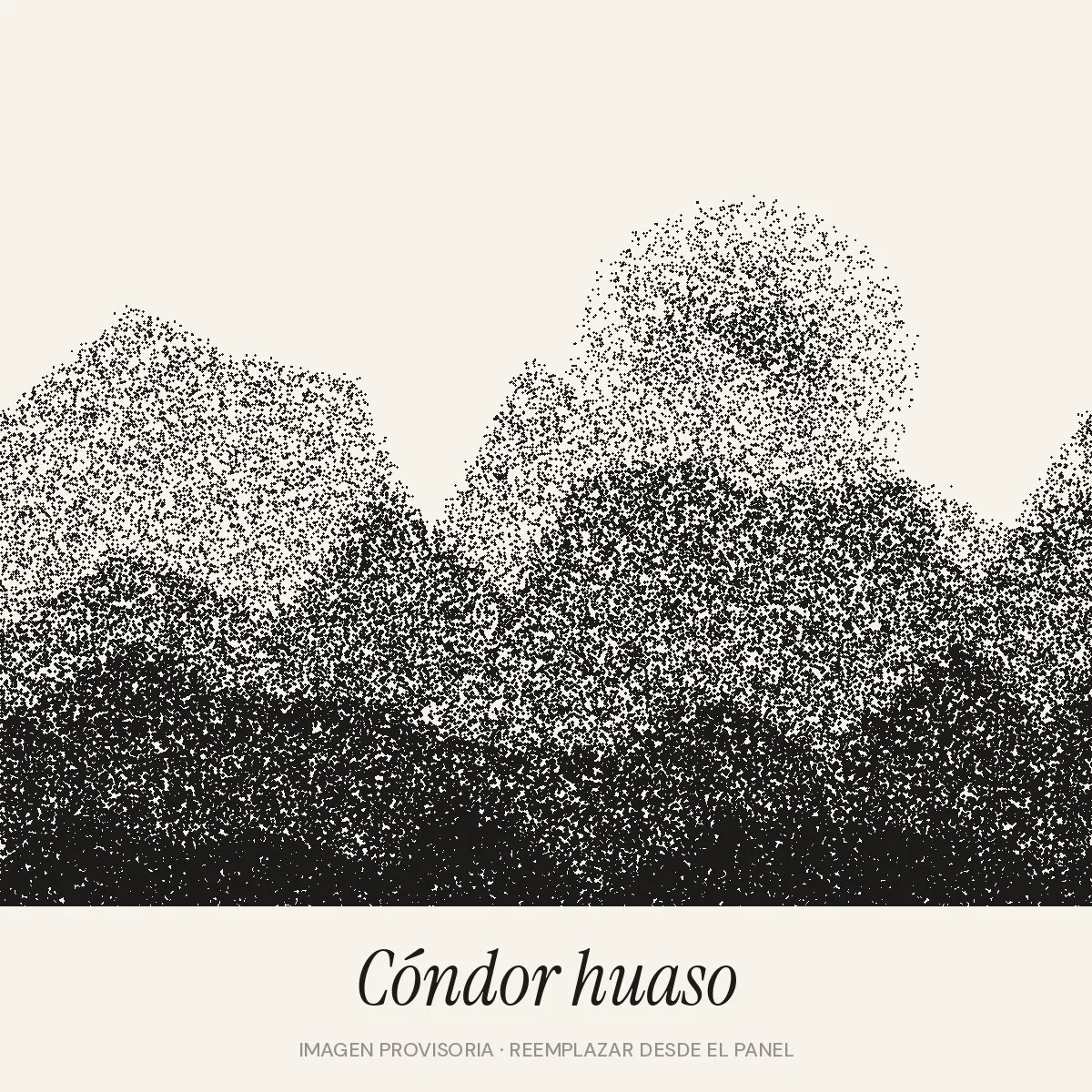 Cóndor huaso
